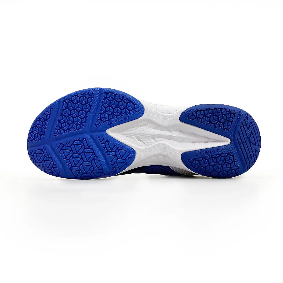 Giày Cầu Lông Li-Ning AYTS016-21