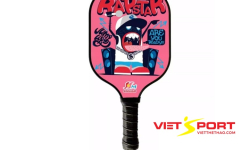 PickleBall Là Gì ? Mua Vợt PickleBall Ở Đâu ?