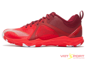 Giày Cầu Lông Li-Ning AYTS012-2