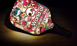 Địa Chỉ Mua Vợt PickleBall Chính Hãng