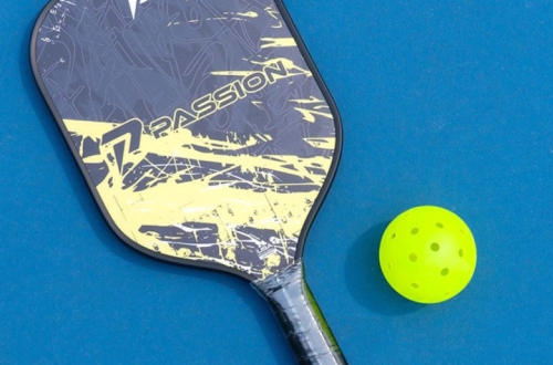 NHỮNG CÂY VỢT PICKLEBALL GIÁ TẦM 799K ĐẾN 1500K BẠN KHÔNG NÊN BỎ QUA