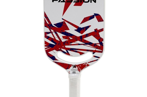 Top 5 cây vợt pickleball được ưa chuộng nhất hiện nay
