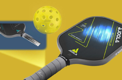 Top 5 vợt pickleball tốt nhất năm 2024 theo từng phân khúc giá