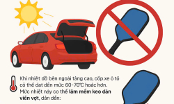 KHUYẾN CÁO QUAN TRỌNG VỀ BẢO QUẢN VỢT PICKLEBALL – ĐỪNG ĐỂ VỢT CỦA BẠN “CHẾT NGHẸT” TRONG CỐP XE!